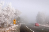 car;cold;dangerous;drive;driving-conditions;freeze;freezes;frost;frosted;frosty;frozen;grass;hoar;hoar-frost;ice;icy;leaf;leaves;Mackenzie-Country;New-Zealand;plant;road;roads;season;seasonal;seasons;seed-head;sign;signs;slippery;South-Island;transport;transportation;travel;traveling;travelling;tree;trees;trip;Twizel;warning;warning-warnings;winter;winter-driving;wintery;wintry;yellow