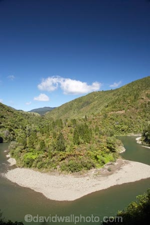 B.O.P.;Bay-of-Plenty;bend-in-the-river;BOP;bush;forest;forests;N.I.;N.Z.;native;native-bush;natural;New-Zealand;NI;North-Is;North-Island;NZ;river;rivers;Waioeka-Gorge;Waioeka-River