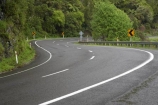 B.O.P.;Bay-of-Plenty;bend;bends;BOP;bush;centre-line;centre-lines;centre_line;centre_lines;centreline;centrelines;corner;corners;curve;curves;driving;forest;forests;highway;highways;N.I.;N.Z.;native;native-bush;natural;New-Zealand;NI;North-Is;North-Island;NZ;open-road;open-roads;road;road-trip;roads;s-bend;s-bends;s-curve;s-curves;state-highway-2;state-highway-two;transport;transportation;travel;traveling;travelling;trip;Waioeka-Gorge