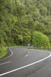 B.O.P.;Bay-of-Plenty;bend;bends;BOP;bush;centre-line;centre-lines;centre_line;centre_lines;centreline;centrelines;corner;corners;curve;curves;driving;forest;forests;highway;highways;N.I.;N.Z.;native;native-bush;natural;New-Zealand;NI;North-Is;North-Island;NZ;open-road;open-roads;road;road-trip;roads;s-bend;s-bends;s-curve;s-curves;state-highway-2;state-highway-two;transport;transportation;travel;traveling;travelling;trip;Waioeka-Gorge
