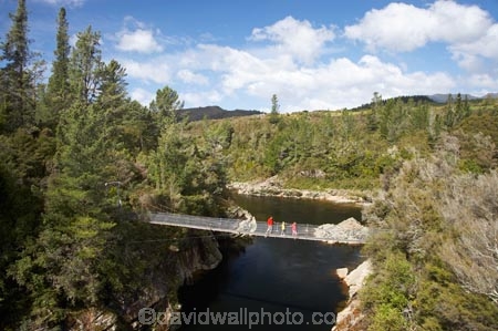 1887;Aorere-River;Aorere-Valley;bridge;bridges;families;family;foot-bridge;foot-bridges;footbridge;footbridges;Golden-Bay;hiking-track;hiking-tracks;N.Z.;Nelson-Region;New-Zealand;NZ;pedestrian-bridge;pedestrian-bridges;people;person;S.I.;Salisbury-Footbridge;SI;South-Is.;South-Island;suspension-bridge;suspension-bridges;swing-bridge;swing-bridges;track;tracks;walker;walkers;walking-track;walking-tracks;wire-bridge;wire-bridges