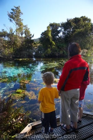 child;children;clean;clear;families;family;fresh-water;freshwater;Golden-Bay;kids;mineral;model-release;model-released;mother;mothers;N.Z.;natural;Nelson-Region;New-Zealand;NZ;people;person;Pupu-Springs;pure;purity;S.I.;SI;South-Is.;South-Island;spring;springs;Takaka;Te-Waikoropupu-Springs;Waikoropupu;Waikoropupu-Springs;water