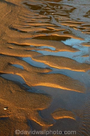 Abel-Tasman;Abel-Tasman-N.P.;Abel-Tasman-National-Park;Abel-Tasman-NP;beach;beaches;coast;coastal;coasts;golden-sand;hot;Mosquito-Bay;N.Z.;national-park;national-parks;Nelson-Region;New-Zealand;NZ;ripple;rippled;ripples;S.I.;sand-ripples;South-Is;South-Island;Sth-Is;summer;Tasman-Bay;Tasman-District