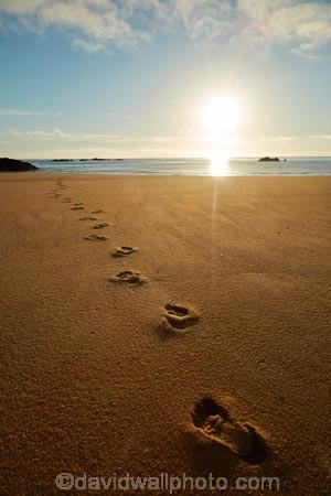 Abel-Tasman;Abel-Tasman-N.P.;Abel-Tasman-National-Park;Abel-Tasman-NP;beach;beaches;break-of-day;coast;coastal;coastline;coastlines;coasts;dawn;dawning;daybreak;early-morning;first-light;foot-print;foot-prints;footprint;footprints;golden-sand;hot;morning;Mosquito-Bay;N.Z.;national-park;national-parks;Nelson-Region;New-Zealand;NZ;ocean;oceans;S.I.;sand;sandy;sea;seas;shore;shoreline;shorelines;shores;South-Is;South-Island;Sth-Is;summer;sun;sunny;sunrise;sunrises;sunup;Tasman-Bay;Tasman-District;track;tracks;twilight;water