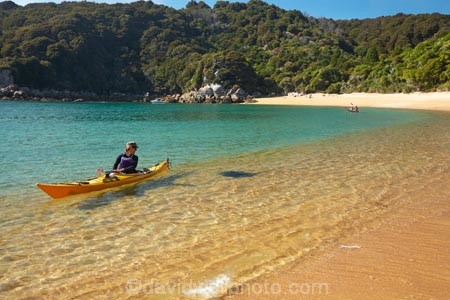 Abel-Tasman;Abel-Tasman-N.P.;Abel-Tasman-National-Park;Abel-Tasman-NP;adventure;adventure-tourism;beach;beaches;boat;boats;canoe;canoeing;canoes;coast;coastal;coastline;coastlines;coasts;hot;kayak;kayaker;kayakers;kayaking;kayaks;M.R.;model-release;model-released;MR;N.Z.;national-park;national-parks;Nelson-Region;New-Zealand;NZ;ocean;oceans;paddle;paddler;paddlers;paddling;people;person;S.I.;sea;sea-kayak;sea-kayaker;sea-kayakers;sea-kayaking;sea-kayaks;seas;shore;shoreline;shorelines;shores;South-Is;South-Island;Sth-Is;sting_ray;sting_rays;stingray;stingrays;summer;Tasman-Bay;Tasman-District;Te-Pukatea;Te-Pukatea-Bay;tourism;tourist;tourists;vacation;vacations;water;wildlife;yellow-kayak;yellow-kayaks