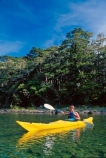 water;bush;forest;forests;tranquil;tranquility;peaceful;peace;peacefulness;colour;colours;color;colors;yellow;blue;green;aqua;paddle;paddler;paddlers;paddles;paddling;clear;see_through;pure;ferns;native;fern;kayak;kayaks;kayaker;kayakers;kayaking;lake;lakes;rotoiti;nelson-lakes-national-park;nelson-lakes;national-park;national-parks