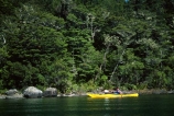 aqua;blue;bush;clear;color;colors;colour;colours;fern;ferns;forest;forests;green;kayak;kayaker;kayakers;kayaking;kayaks;lake;lakes;national-park;national-parks;native;nelson-lakes;nelson-lakes-national-park;paddle;paddler;paddlers;paddles;paddling;peace;peaceful;peacefulness;pure;rotoiti;see_through;tranquil;tranquility;water;yellow