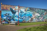 art;Chris-Finlayson;Golden-Bay;Mural;murals;N.Z.;Nelson-Region;New-Zealand;NZ;public-art;public-art-work;public-art-works;S.I.;SI;South-Is.;South-Island;Takaka;Village-Green-Society