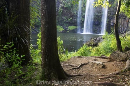 cascade;cascades;creek;creeks;falls;natural;nature;new-zealand;north-is.;north-island;Northland;scene;scenic;stream;streams;water;water-fall;water-falls;waterfall;waterfalls;wet;Whangarei;Whangarei-Falls