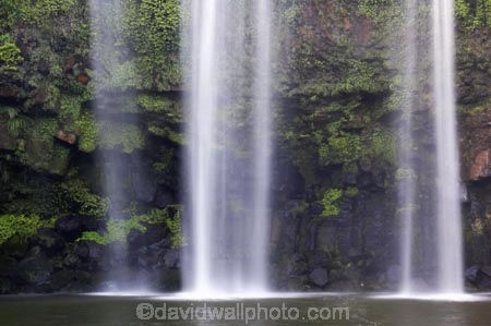 cascade;cascades;creek;creeks;falls;natural;nature;new-zealand;north-is.;north-island;Northland;scene;scenic;stream;streams;water;water-fall;water-falls;waterfall;waterfalls;wet;Whangarei;Whangarei-Falls