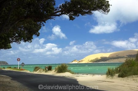 dune;dunes;harbor;harbors;harbour;harbours;hokianga;Hokianga-Harbour;new-zealand;north-is.;north-island;Northland;opononi;sand-dune;Sand-Dunes;sand_dune;sand_dunes;te-pouahi