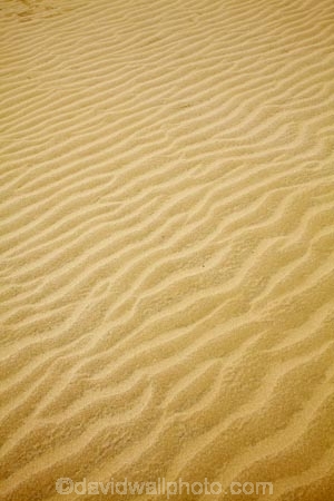 dune;dunes;Far-North;N.I.;N.Z.;New-Zealand;NI;North-Is;North-Is.;North-Island;Northland;NZ;pattern;patterns;ripple;ripples;sand;sand-dune;sand-dunes;sand-hill;sand-hills;sand-pattern;sand-patterns;sand-ripple;sand-ripples;sand_dune;sand_dunes;sand_hill;sand_hills;sanddune;sanddunes;sandhill;sandhills;sandy;Te-Paki-Creek;Te-Paki-Dunes;Te-Paki-Recreational-Reserve;Te-Paki-Reserve;Te-Paki-Sand-Dunes;Te-Paki-Sand-Hills;Te-Paki-Stream;water-pattern;water-patterns;wind-pattern;wind-patterns