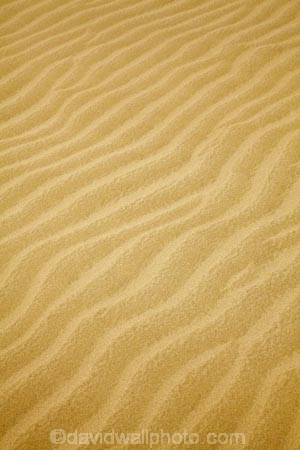 dune;dunes;Far-North;N.I.;N.Z.;New-Zealand;NI;North-Is;North-Is.;North-Island;Northland;NZ;pattern;patterns;ripple;ripples;sand;sand-dune;sand-dunes;sand-hill;sand-hills;sand-pattern;sand-patterns;sand-ripple;sand-ripples;sand_dune;sand_dunes;sand_hill;sand_hills;sanddune;sanddunes;sandhill;sandhills;sandy;Te-Paki-Creek;Te-Paki-Dunes;Te-Paki-Recreational-Reserve;Te-Paki-Reserve;Te-Paki-Sand-Dunes;Te-Paki-Sand-Hills;Te-Paki-Stream;water-pattern;water-patterns;wind-pattern;wind-patterns
