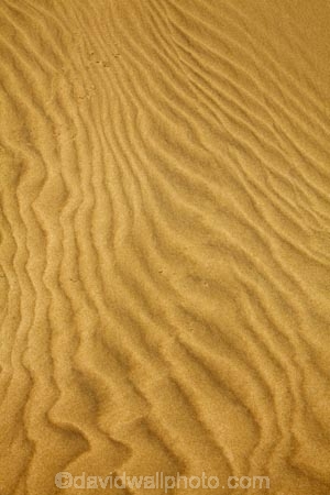 dune;dunes;Far-North;N.I.;N.Z.;New-Zealand;NI;North-Is;North-Is.;North-Island;Northland;NZ;pattern;patterns;ripple;ripples;sand;sand-dune;sand-dunes;sand-hill;sand-hills;sand-pattern;sand-patterns;sand-ripple;sand-ripples;sand_dune;sand_dunes;sand_hill;sand_hills;sanddune;sanddunes;sandhill;sandhills;sandy;Te-Paki-Creek;Te-Paki-Dunes;Te-Paki-Recreational-Reserve;Te-Paki-Reserve;Te-Paki-Sand-Dunes;Te-Paki-Sand-Hills;Te-Paki-Stream;water-pattern;water-patterns;wind-pattern;wind-patterns