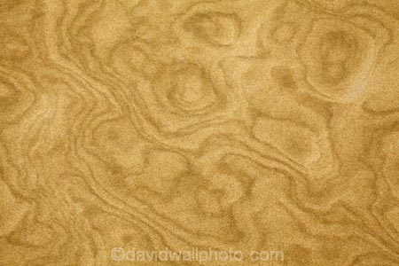 dune;dunes;Far-North;N.I.;N.Z.;New-Zealand;NI;North-Is;North-Is.;North-Island;Northland;NZ;pattern;patterns;sand;sand-dune;sand-dunes;sand-hill;sand-hills;sand-pattern;sand-patterns;sand_dune;sand_dunes;sand_hill;sand_hills;sanddune;sanddunes;sandhill;sandhills;sandy;Te-Paki-Creek;Te-Paki-Dunes;Te-Paki-Recreational-Reserve;Te-Paki-Reserve;Te-Paki-Sand-Dunes;Te-Paki-Sand-Hills;Te-Paki-Stream;water-pattern;water-patterns