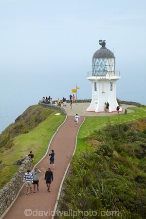 beacon;beacons;Cape-Reinga;coast;coastal;coastline;coastlines;coasts;Far-North;light;light-house;light-houses;light_house;light_houses;lighthouse;lighthouses;lights;N.I.;N.Z.;navigate;navigation;New-Zealand;NI;North-Is;North-Is.;North-Island;Northland;NZ;ocean;oceans;people;person;tourism;tourist;tourists;tower;towers