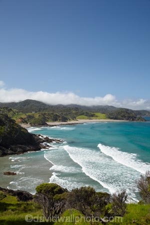 beach;beache;beaches;coast;coastal;coastline;coastlines;coasts;Elliot-Bay;foreshore;N.I.;N.Z.;New-Zealand;NI;North-Is;North-Is.;North-Island;Northland;NZ;ocean;oceans;sand;sandy;sea;seas;shore;shoreline;shorelines;shores;surf;water;wave;waves;Whangamumu-Peninsula