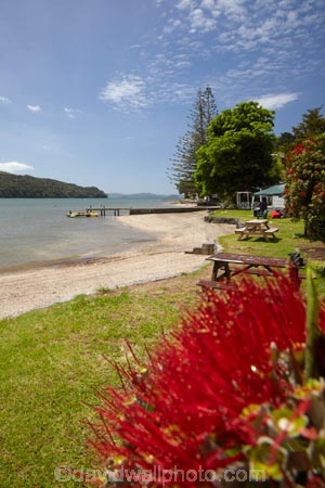 Auckland-Region;coast;coastal;coastline;coastlines;coasts;estuaries;estuary;flower;flowers;foreshore;inlet;inlets;lagoon;lagoons;Matakana-River;metrosideros-excelsa;N.I.;N.Z.;native;native-plant;native-plants;New-Zealand;NI;North-Is;North-Is.;North-Island;Northland;NZ;plant;plants;pohutakawa;pohutakawas;pohutukawa;pohutukawa-flower;pohutukawa-flowers;pohutukawa-tree;pohutukawa-trees;pohutukawas;Rodney-District;Sandspit;Sandspit-Campground;Sandspit-Holiday-Park;shore;shoreline;shorelines;shores;summer;tidal;tide;tree;trees;Warkworth;water