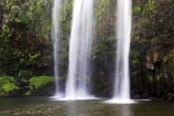 cascade;cascades;creek;creeks;falls;natural;nature;new-zealand;north-is.;north-island;Northland;scene;scenic;stream;streams;water;water-fall;water-falls;waterfall;waterfalls;wet;Whangarei;Whangarei-Falls