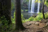cascade;cascades;creek;creeks;falls;natural;nature;new-zealand;north-is.;north-island;Northland;scene;scenic;stream;streams;water;water-fall;water-falls;waterfall;waterfalls;wet;Whangarei;Whangarei-Falls