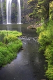 cascade;cascades;creek;creeks;falls;natural;nature;new-zealand;north-is.;north-island;Northland;scene;scenic;stream;streams;water;water-fall;water-falls;waterfall;waterfalls;wet;Whangarei;Whangarei-Falls