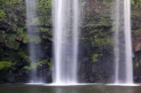 cascade;cascades;creek;creeks;falls;natural;nature;new-zealand;north-is.;north-island;Northland;scene;scenic;stream;streams;water;water-fall;water-falls;waterfall;waterfalls;wet;Whangarei;Whangarei-Falls