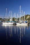 boat;boats;calm;calmness;fishing-boats;harbor;harbors;harbour;harbours;hull;hulls;launch;launches;Marina;marinas;mast;masts;new-zealand;north-is.;north-island;Northland;peaceful;peacefulness;port;ports;reflection;reflections;sail;sailing;still;stillness;Town-Basin;tranquil;tranquility;Whangarei;yacht;yachts