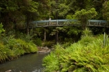 beautiful;beauty;bridge;bridges;bush;endemic;foot-bridge;foot-bridges;footbridge;footbridges;forest;forests;green;Hatea-River;hiking-track;hiking-tracks;N.I.;N.Z.;native;native-bush;natives;natural;nature;New-Zealand;NI;North-Is;North-Is.;North-Island;Northland;NZ;pedestrian-bridge;pedestrian-bridges;people;person;rain-forest;rain-forests;rain_forest;rain_forests;rainforest;rainforests;scene;scenic;Tikipunga;tourism;tourist;tourists;track;tracks;tree;trees;walking-track;walking-tracks;Whangarei