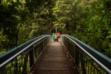 beautiful;beauty;bridge;bridges;bush;endemic;foot-bridge;foot-bridges;footbridge;footbridges;forest;forests;green;Hatea-River;hiking-track;hiking-tracks;N.I.;N.Z.;native;native-bush;natives;natural;nature;New-Zealand;NI;North-Is;North-Is.;North-Island;Northland;NZ;pedestrian-bridge;pedestrian-bridges;people;person;rain-forest;rain-forests;rain_forest;rain_forests;rainforest;rainforests;scene;scenic;Tikipunga;tourism;tourist;tourists;track;tracks;tree;trees;walking-track;walking-tracks;Whangarei