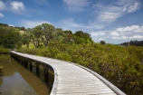 Auckland-Region;boardwalk;boardwalks;bridge;bridges;estuaries;estuary;foot-bridge;foot-bridges;footbridge;footbridges;hiking-track;hiking-tracks;inlet;inlets;lagoon;lagoons;mangrove;mangrove-boardwalk;mangrove-boardwalks;mangrove-swamp;mangrove-swamps;mangroves;N.I.;N.Z.;New-Zealand;NI;North-Is;North-Is.;North-Island;Northland;NZ;pedestrian-bridge;pedestrian-bridges;Rodney-District;Sandspit;tidal;tide;tides;track;tracks;walking-track;walking-tracks;Warkworth;water