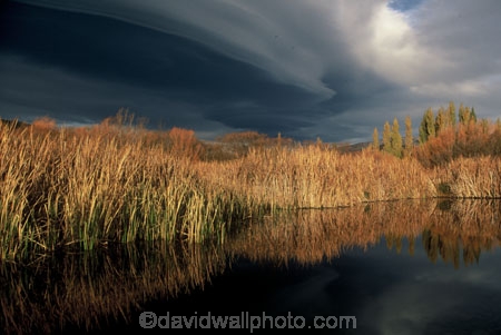 autumn;cloud;clouds;color;colors;colour;colours;fall;grey;rain;reed;reeds;reflection;reflections;storms;winter