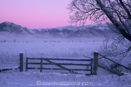 branch;cold;dusk;freeze;freezing;frost;frosty;gate;hoar;ice;last-light;mountain;mountains;slippery;snow;sunset;tree;twilight;winter