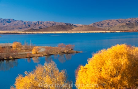 autumn;autumnal;fall;gold;golden;hydro-lake;hydro_electric;lakes;tree;trees;water;willow;willows