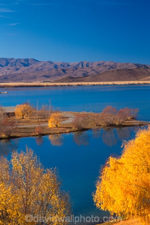 autumn;autumnal;fall;gold;golden;hydro-lake;hydro_electric;lakes;tree;trees;water;willow;willows
