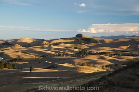 agricultural;agriculture;country;countryside;Duntroon;farm;farming;farmland;farms;field;fields;hill;hills;Landscape;light;meadow;meadows;N.Z.;New-Zealand;North-Otago;NZ;Otago;paddock;paddocks;pasture;pastures;rural;S.I.;SI;South-Island;waitaki;Waitaki-District;Waitaki-Region