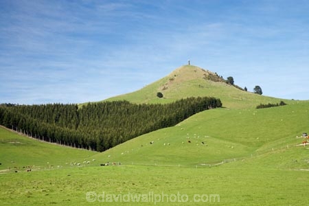 agricultural;agriculture;country;countryside;East-Otago;farm;farming;farmland;farms;field;fields;meadow;meadows;N.Z.;New-Zealand;NZ;Otago;paddock;paddocks;Palmerston;pasture;pastures;Puketapu;rural;S.I.;SI;South-Is.;South-Island;Waitaki-District;Waitaki-Region