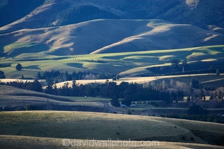 agricultural;agriculture;country;countryside;Dunback;East-Otago;farm;farming;farmland;farms;field;fields;meadow;meadows;N.Z.;New-Zealand;NZ;Otago;paddock;paddocks;pasture;pastures;Razorback-Range;rural;S.I.;SI;South-Is.;South-Island