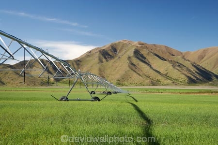 agicultural-machine;agricultural;agriculture;automatic-irrigation;Benmore-Range;centre-pivot-irrigation;country;countryside;crop;crops;cultivation;farm;farm-equipment;farm-implements;farm-machinery;farming;farmland;farms;field;fields;grow;growing;horticulture;irrigate;irrigated-land;irrigation;irrigation-equipment;irrigation-scheme;irrigator;machine;machines;meadow;meadows;mobile-irrigation;N.Z.;New-Zealand;North-Otago;NZ;Otago;paddock;paddocks;pasture;pastures;pivoting-boom-irrigation;rotary-irrigation;rural;S.I.;SI;South-Is.;South-Island;spray;sprays;sprinkers;sprinkler;Waitaki-District;Waitaki-Region;Waitaki-Valley