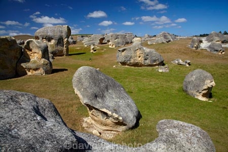 Elephant-Rocks;geological;geology;N.Z.;New-Zealand;North-Otago;NZ;Otago;rock;rock-formation;rock-formations;rock-outcrop;rock-outcrops;rock-tor;rock-torr;rock-torrs;rock-tors;rocks;S.I.;sedementary;sheep;SI;South-Is;South-Island;Sth-Is;stone;unusual;Waitaki;Waitaki-District;Waitaki-Region