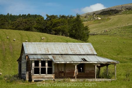 abandon;abandoned;agricultural;agriculture;building;buildings;character;country;countryside;derelict;derelict-building;dereliction;deserted;desolate;desolation;destruction;farm;farm-animals;farming;farmland;farms;field;fields;heritage;historic;historic-building;historic-buildings;Historic-Ruins;historical;historical-building;historical-buildings;history;meadow;meadows;N.Z.;neglect;neglected;New-Zealand;North-Otago;NZ;old;old-fashioned;old_fashioned;Otago;paddock;paddocks;pasture;pastures;ruin;ruins;run-down;rural;rustic;sheep;South-Is;South-Island;stock;Tokarahi;tradition;traditional;vintage;Waitaki-District;Waitaki-Region