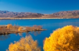 autumn;autumnal;fall;gold;golden;hydro-lake;hydro_electric;lakes;tree;trees;water;willow;willows