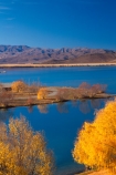 autumn;autumnal;fall;gold;golden;hydro-lake;hydro_electric;lakes;tree;trees;water;willow;willows