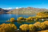 autuminal;autumn;autumn-colour;autumn-colours;autumnal;color;colors;colour;colours;deciduous;fall;gold;golden;lake;Lake-Benmore;lakes;leaf;leaves;N.Z.;New-Zealand;North-Otago;NZ;Otago;S.I.;Sailors-Cutting;Sailors-Cutting;season;seasonal;seasons;SI;South-Island;Sth-Is;Sth-Is.;tree;trees;Waitaki;Waitaki-District;Waitaki-Region;Waitaki-Valley;willow;willow-tree;willow-trees;willows;yellow
