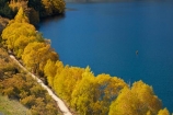 A2O;Alps-2-Ocean-cycle-trail;Alps-to-ocean-cycle-trail;autuminal;autumn;autumn-colour;autumn-colours;autumnal;bike-track;bike-tracks;bike-trail;bike-trails;color;colors;colour;colours;cycle-track;cycle-tracks;cycle-trail;cycle-trails;cycleway;cycleways;deciduous;fall;gold;golden;lake;Lake-Benmore;lakes;leaf;leaves;N.Z.;New-Zealand;North-Otago;NZ;Otago;S.I.;Sailors-Cutting;Sailors-Cutting;season;seasonal;seasons;SI;South-Island;Sth-Is;Sth-Is.;tree;trees;Waitaki;Waitaki-District;Waitaki-Region;Waitaki-Valley;willow;willow-tree;willow-trees;willows;yellow