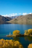 autuminal;autumn;autumn-colour;autumn-colours;autumnal;color;colors;colour;colours;deciduous;fall;gold;golden;lake;Lake-Benmore;lakes;leaf;leaves;N.Z.;New-Zealand;North-Otago;NZ;Otago;S.I.;Sailors-Cutting;Sailors-Cutting;season;seasonal;seasons;SI;South-Island;Sth-Is;Sth-Is.;tree;trees;Waitaki;Waitaki-District;Waitaki-Region;Waitaki-Valley;willow;willow-tree;willow-trees;willows;yellow