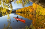 Autumn;blue;calm;calmness;canoe;canoeing;canoes;color;colors;colour;Colours;cyan;fall;golden;kayak;kayaking;kayaks;lake;lake-Benmore;lakes;leaf;leaves;meridian;new-zealand;north-otago;outdoor;outdoors;outside;paddle;paddles;paddling;peaceful;peacefulness;people;person;quiet;quietness;recreation;red;reflection;reflections;rest;restful;restfulness;sailors-cutting;Sailors-Cutting;season;seasonal;seasons;silence;south-island;tranquil;tranquility;tree;trees;Waitaki-Valley;water;weeping-willow;weeping-willows;willow;willows;yellow