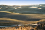agricultural;agriculture;country;countryside;Duntroon;farm;farming;farmland;farms;field;fields;hill;hills;Landscape;light;meadow;meadows;New-Zealand;North-Otago;paddock;paddocks;pasture;pastures;rural;South-Island;waitaki