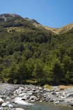 beautiful;beauty;Beech-Forest;beech-forests;beech-tree;beech-trees;brook;brooks;bush;creek;creeks;endemic;flow;forest;forests;green;Lake-Ohau;Mackenzie-Country;N.Z.;native;native-bush;natives;natural;nature;New-Zealand;North-Branch-Temple-Stream;North-Otago;North-Temple-Stream;Nothofagus;NZ;Ohau-Conservation-Area;river;rivers;S.I.;scene;scenic;SI;South-Island;southern-beeches;stream;streams;Temple-Stream;Temple-Valley;tree;trees;Waitaki-District;water;wet;wood;woods