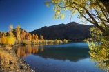 autuminal;autumn;autumn-colour;autumn-colours;autumnal;calm;color;colors;colour;colours;deciduous;fall;lake;Lake-Aviemore;lakes;leaf;leaves;N.Z.;New-Zealand;North-Otago;NZ;Otago;placid;quiet;reflection;reflections;S.I.;season;seasonal;seasons;serene;SI;smooth;South-Island;still;tranquil;tree;trees;Waitaki-District;Waitaki-Region;Waitaki-Valley;water;yellow