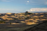 agricultural;agriculture;country;countryside;Duntroon;farm;farming;farmland;farms;field;fields;hill;hills;Landscape;light;meadow;meadows;N.Z.;New-Zealand;North-Otago;NZ;Otago;paddock;paddocks;pasture;pastures;rural;S.I.;SI;South-Island;waitaki;Waitaki-District;Waitaki-Region